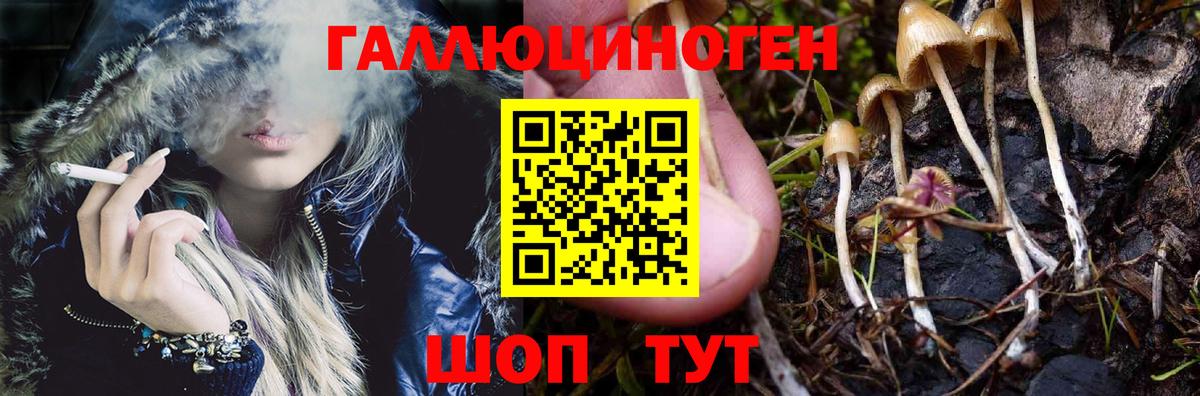 Артёмовский  купить закладку  Вход с VPN  Псилоцибиновые грибы мухоморы 